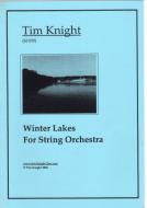 Winter Lakes 