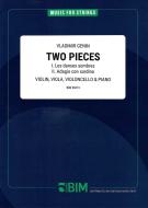 2 Piezas Standard