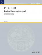 Erstes Harmoniumspiel Standard