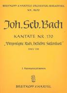 Vergnügte Ruh, beliebte Seelenlust 