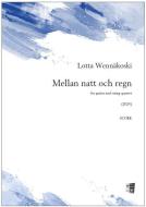 Mellan natt och regn 