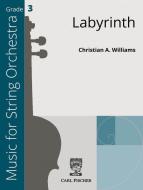 Labyrinth 