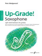 Symphony No. 40 in G Minor, 1st Movement 
