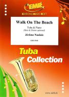 Walk On The Beach Download