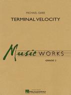 Terminal Velocity 