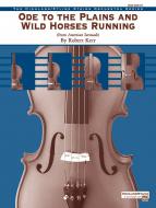 Ode to the Plains and Wild Horses Running Standard