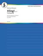 Five Songs to Poems by Otto Julius Bierbaum and Karl Henckell Op. 48/3 Standard