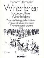 Winterferien Standard