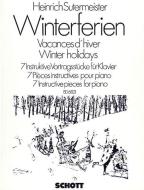 Winterferien Standard