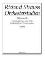 Orchestral Studies from his Stage Works: Flute Vol. 1 Standard