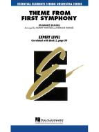 Theme from First Symphony Download