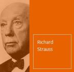 Bernhard von Weimar in der Schlacht bei Lützen Standard