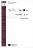We Are Limitless 
