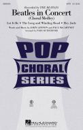 Beatles In Concert Download