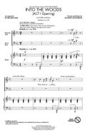 Into The Woods Download