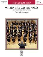 Within the Castle Walls 