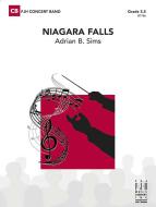 Niagara Falls Standard