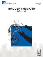 Through the Storm 