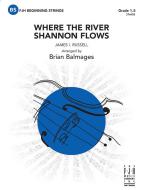 Where the River Shannon Flows 