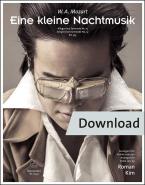 Un poco de música nocturna Download