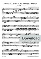 Ordena que venga el ángel Download