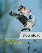Baile en aguas profundas Download