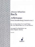 Affettuoso A Minor BWV 1050 
