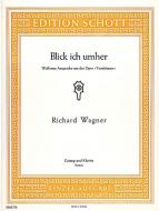 Blick' ich umher Standard