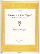 Einsam in trüben Tagen Standard