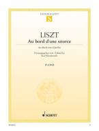 Au bord d'une source Standard
