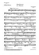 Plöner Musiktag D: Abendkonzert Nr. 2 Standard