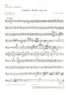 Andante and Rondo Ungarese Standard