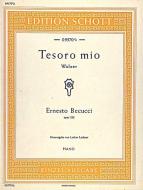 Tesoro Mio D Major Op. 228 Standard