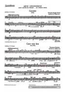 My Violin-Book Standard