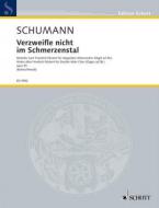 Verzweifle nicht im Schmerzenstal op. 93 