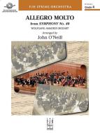 Allegro molto from Symphony No. 40 
