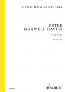 Angelus Standard