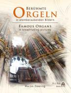 Órganos famosos en imágenes impresionantes 