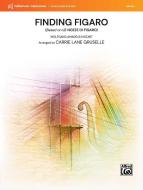 Finding Figaro 