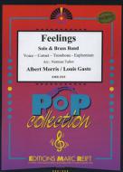 Feelings Standard
