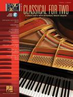 Symphony No. 40 In G Minor, First Movement Excerpt 