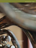 Night Flight Download