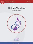 Hidden Wonders Download