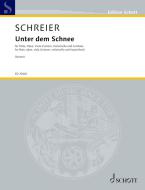 Unter dem Schnee Download