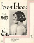 Forest Echoes 