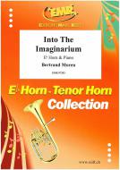 Into The Imaginarium Standard