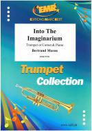 Into The Imaginarium Standard