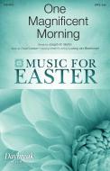 One Magnificent Morning Download