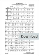 Ach, arme Welt op. 110 Nr. 2 
