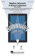 Stephen Schwartz: A Musical Celebration - Guitar 